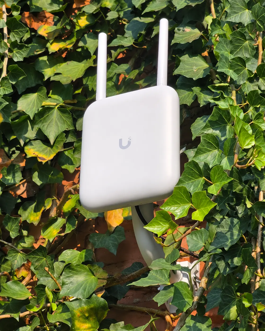 Punto de acceso Wi-Fi de exterior con dos antenas instalado por SERTEC.